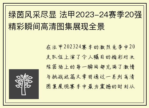 绿茵风采尽显 法甲2023-24赛季20强精彩瞬间高清图集展现全景