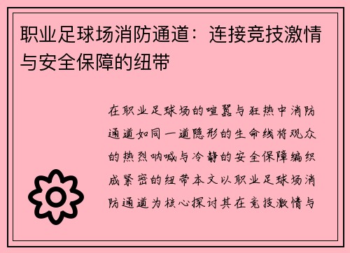 职业足球场消防通道：连接竞技激情与安全保障的纽带